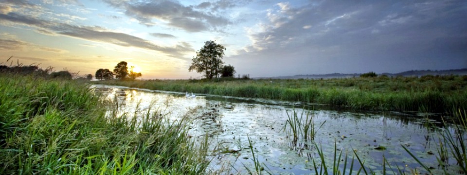 Somerset Levels